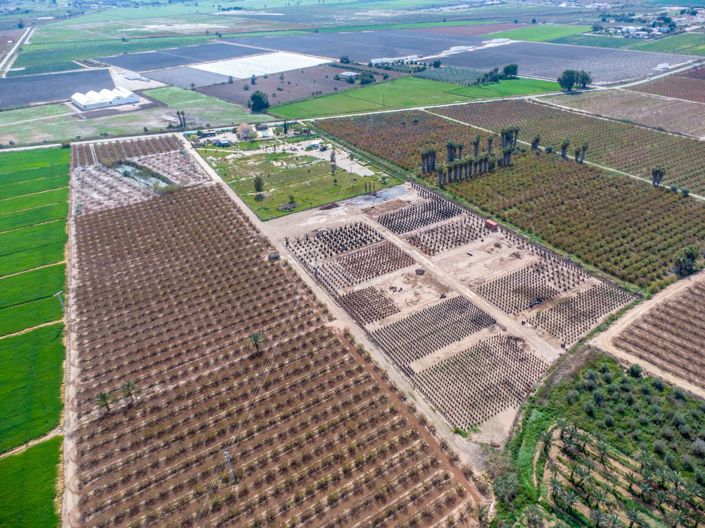 Image No.44-Finca de 5 chambres à vendre à Albatera