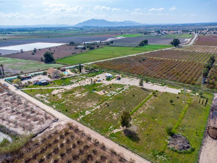 Image No.45-Finca de 5 chambres à vendre à Albatera