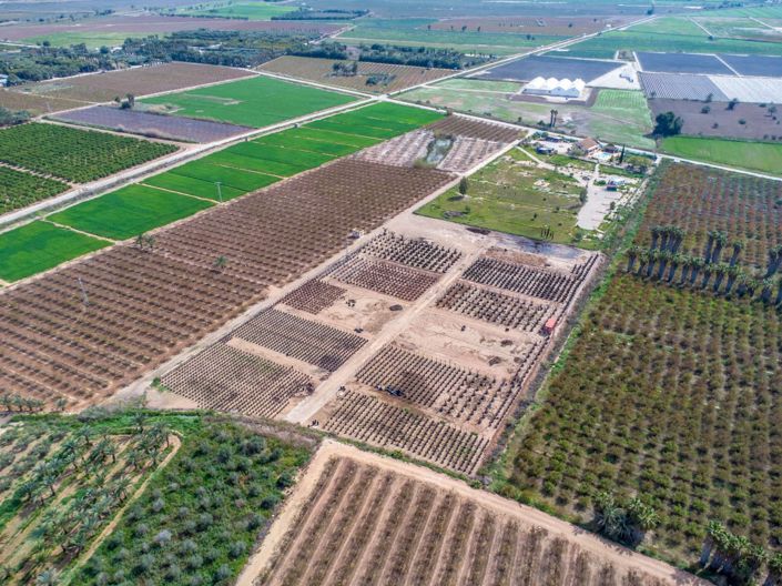Image No.46-Finca de 5 chambres à vendre à Albatera