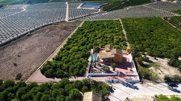 Image No.27-Finca de 5 chambres à vendre à Orihuela