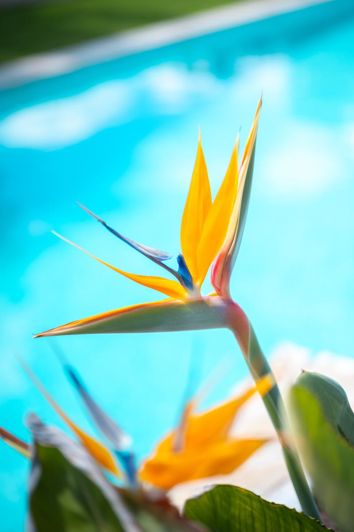 Image No.57-3 Bed Apartment for sale