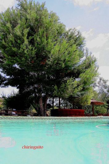 Image No.18-3 Bed Finca for sale