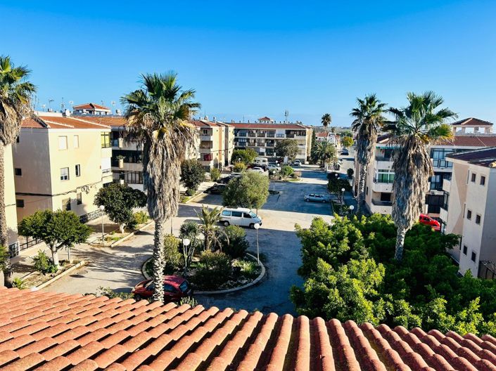 Image No.11-Propriété de 1 chambre à vendre à Torrevieja