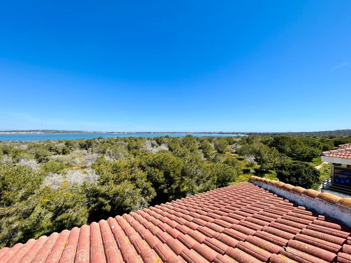 Image No.12-Propriété de 1 chambre à vendre à Torrevieja