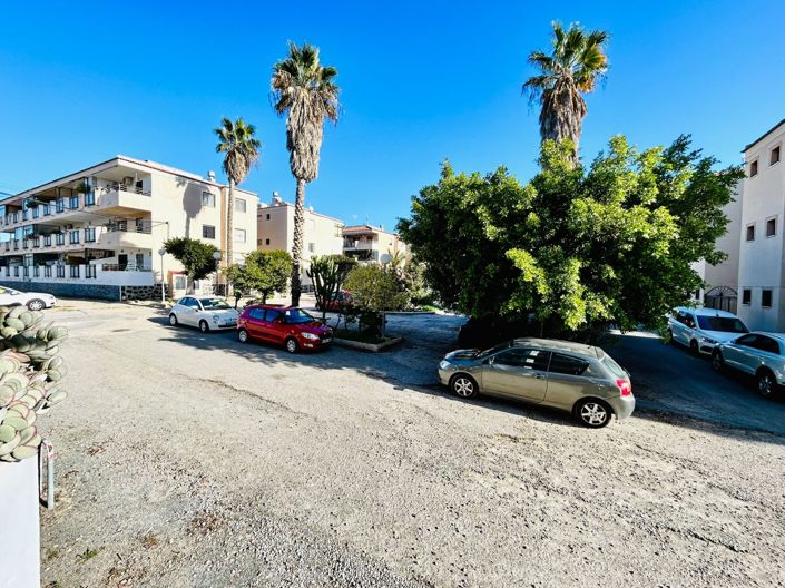 Image No.4-Propriété de 1 chambre à vendre à Torrevieja