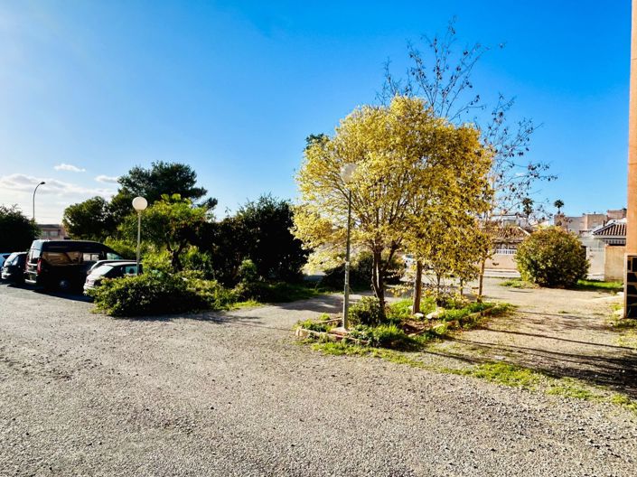 Image No.6-Propriété de 1 chambre à vendre à Torrevieja