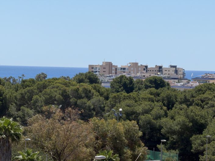 Image No.30-4 Bed Villa for sale