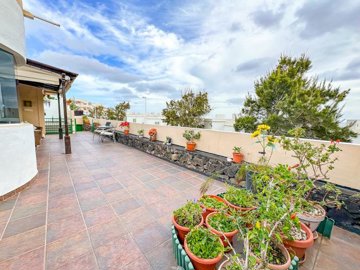 whatsapp20image202026-01-2120at20163638202811