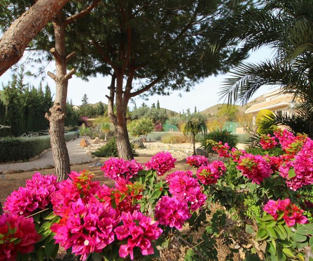 Image No.2-Villa de 4 chambres à vendre à La Manga Club