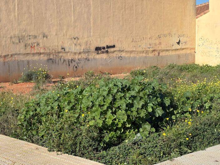 Image No.2-Land for sale