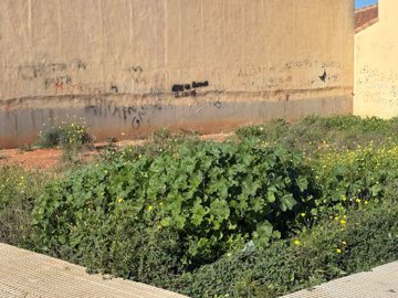 12887plotforsaleinlosbelones070126125441whats