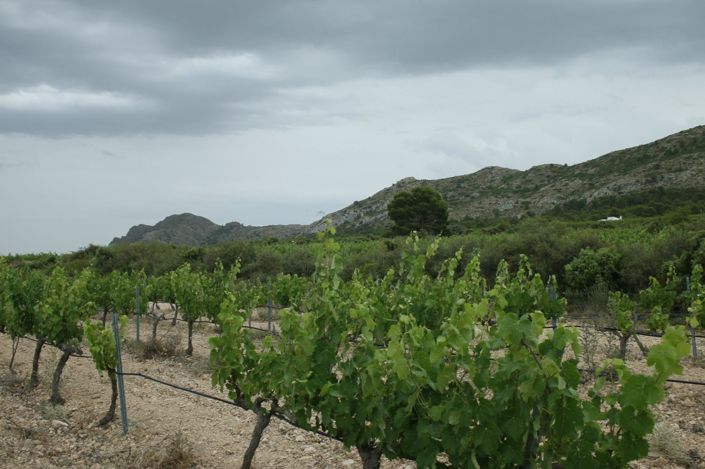 Image No.32-6 Bed Villa for sale