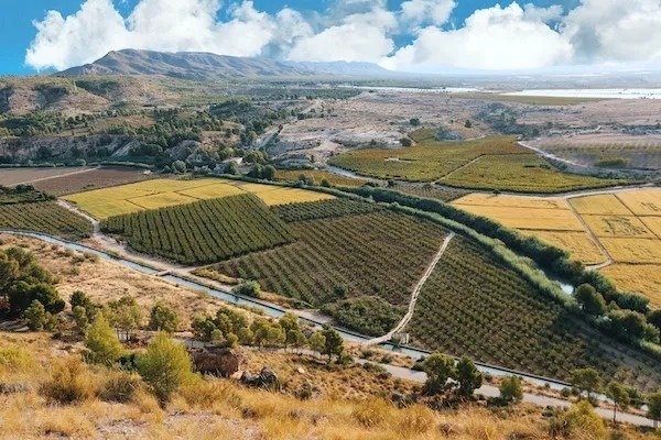 Image No.17-Villa de 3 chambres à vendre à Calasparra