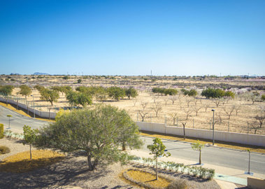 12878fullrenovatedpenthouseincorvera191225153