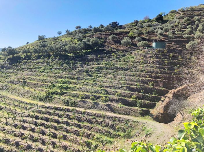 Image No.11-2 Bed Villa for sale