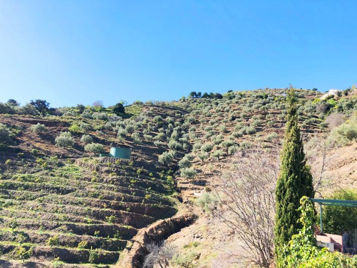 Image No.12-2 Bed Villa for sale