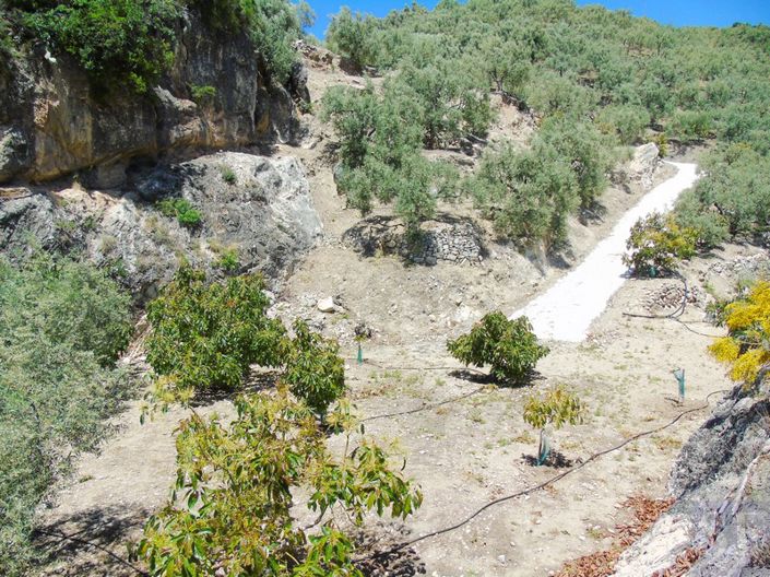 Image No.11-Country House for sale