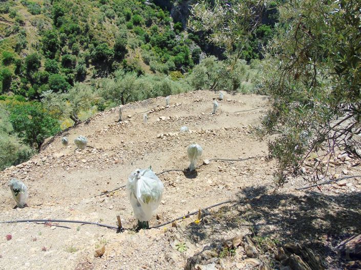 Image No.9-Country House for sale