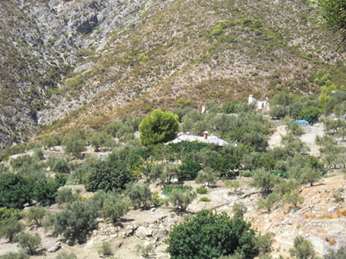 Image No.14-3 Bed Villa for sale