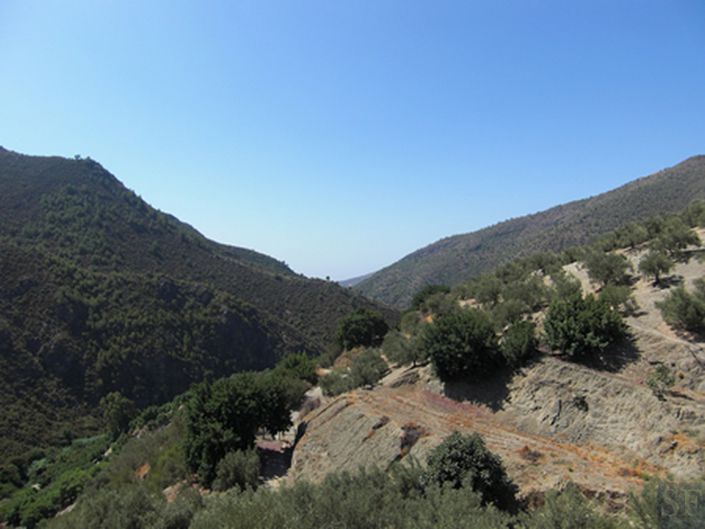 Image No.15-3 Bed Villa for sale