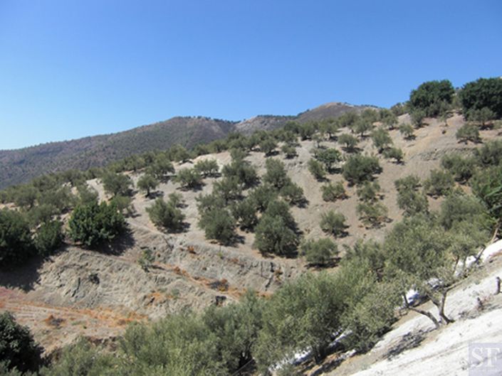 Image No.16-3 Bed Villa for sale