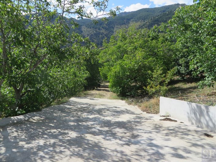 Image No.14-3 Bed Villa for sale