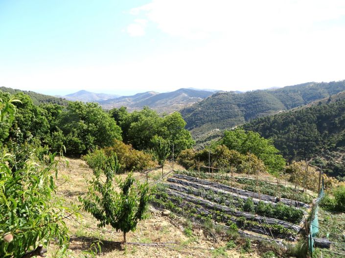 Image No.15-3 Bed Villa for sale