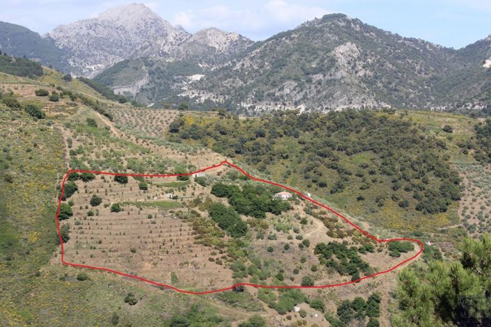 Image No.20-3 Bed Villa for sale