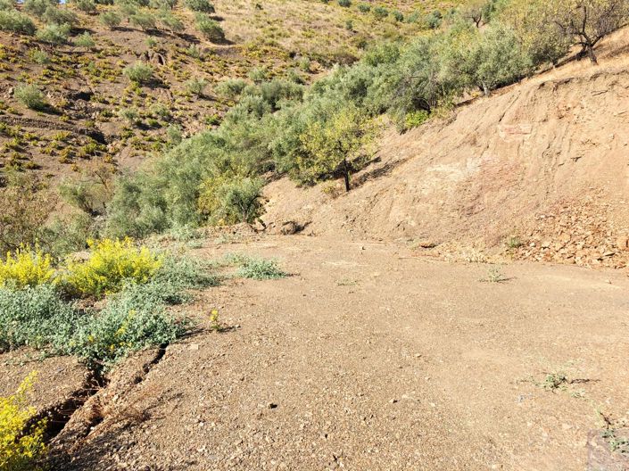 Image No.10-1 Bed Villa for sale