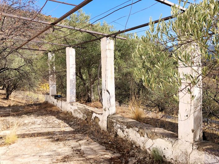 Image No.8-3 Bed Villa for sale