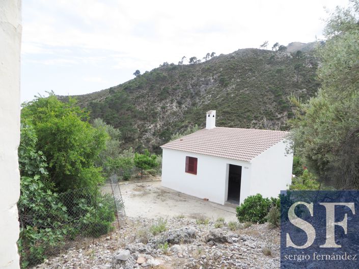 Image No.1-Country House for sale