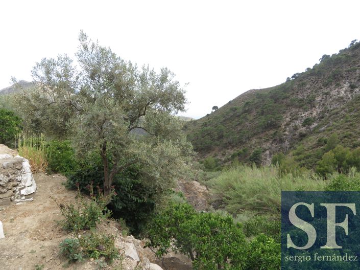 Image No.16-Maison de campagne à vendre à Cómpeta