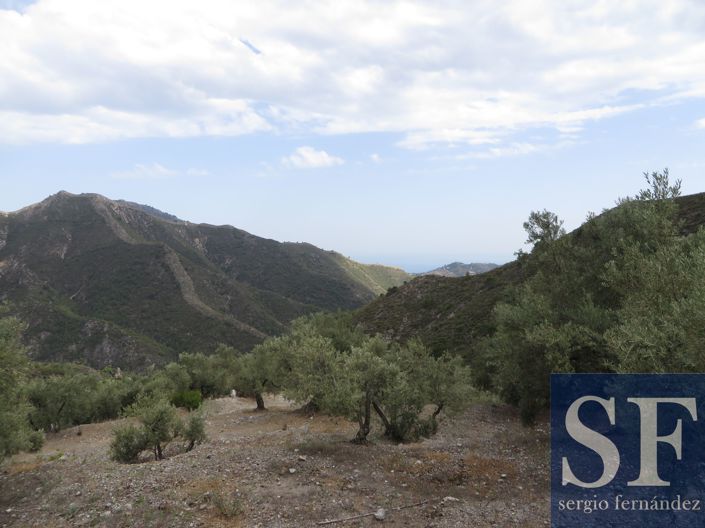 Image No.6-Maison de campagne à vendre à Cómpeta