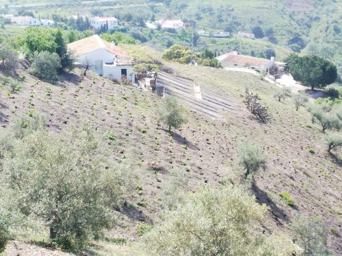 Image No.10-1 Bed Country House for sale