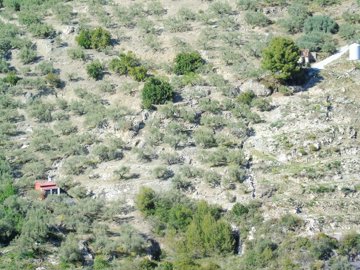1 - Canillas de Albaida, Country House