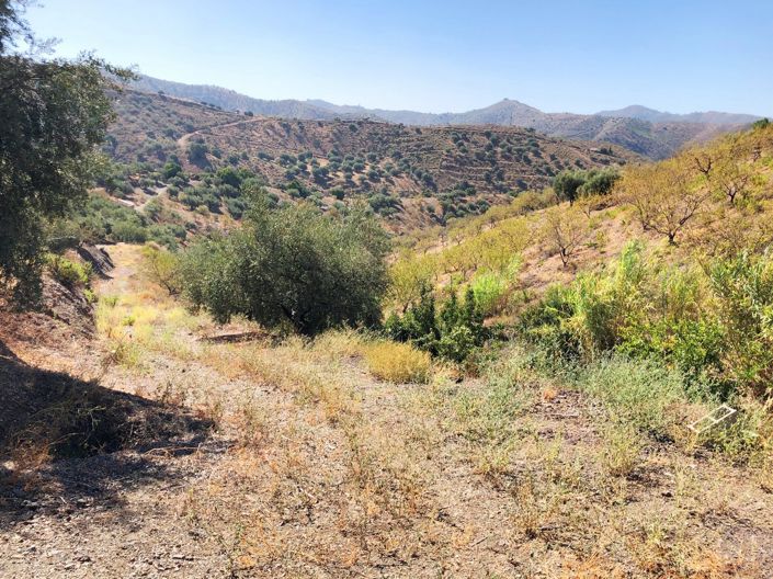 Image No.16-3 Bed Plot for sale