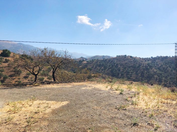 Image No.6-3 Bed Plot for sale