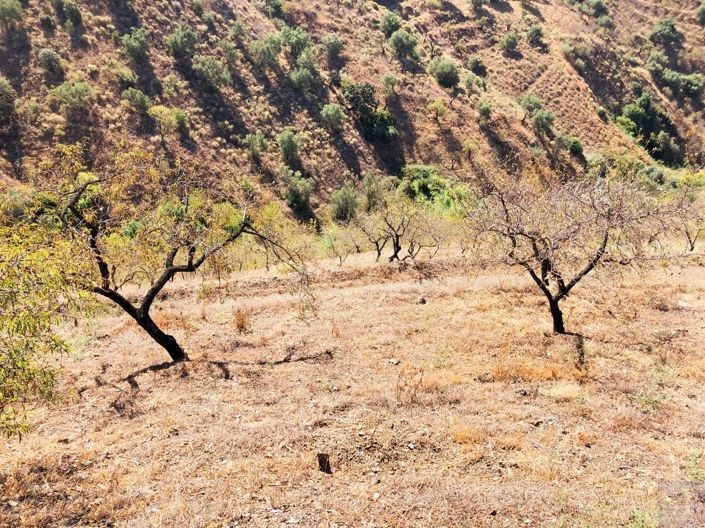 Image No.3-Terrain à vendre à Sedella