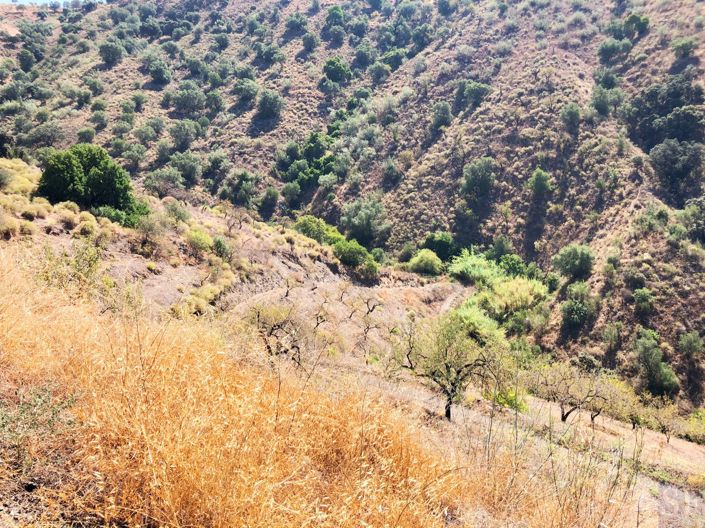 Image No.4-Terrain à vendre à Sedella