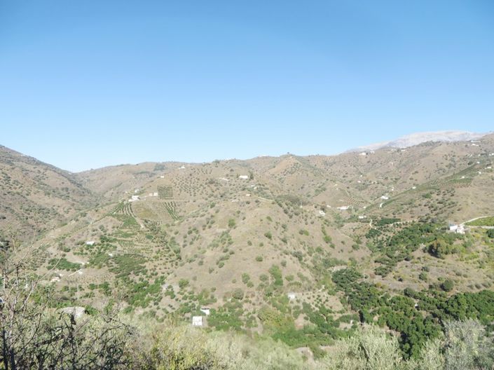 Image No.10-3 Bed Townhouse for sale