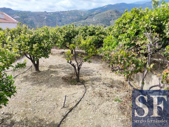 Image No.18-Maison de ville de 4 chambres à vendre à Canillas de Albaida