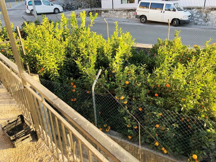 Image No.16-3 Bed Townhouse for sale