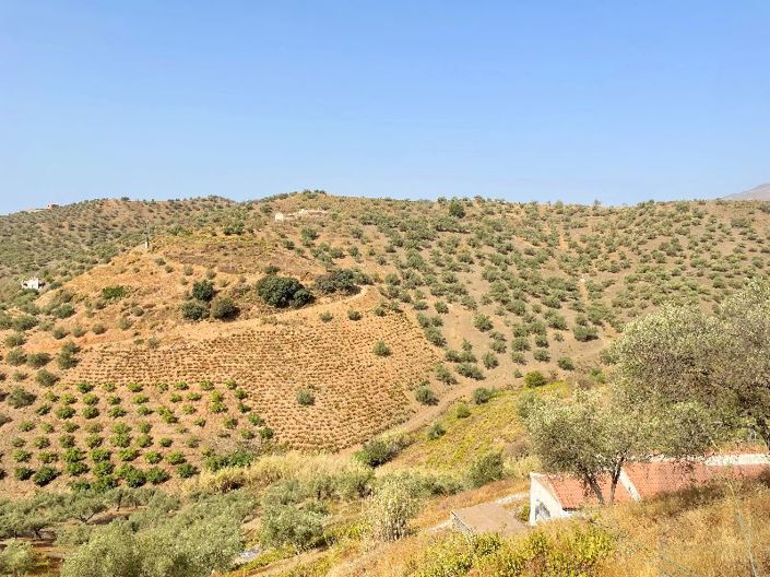 Image No.19-Villa de 2 chambres à vendre à Canillas de Albaida
