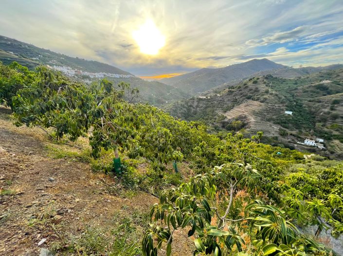 Image No.2-Country House for sale