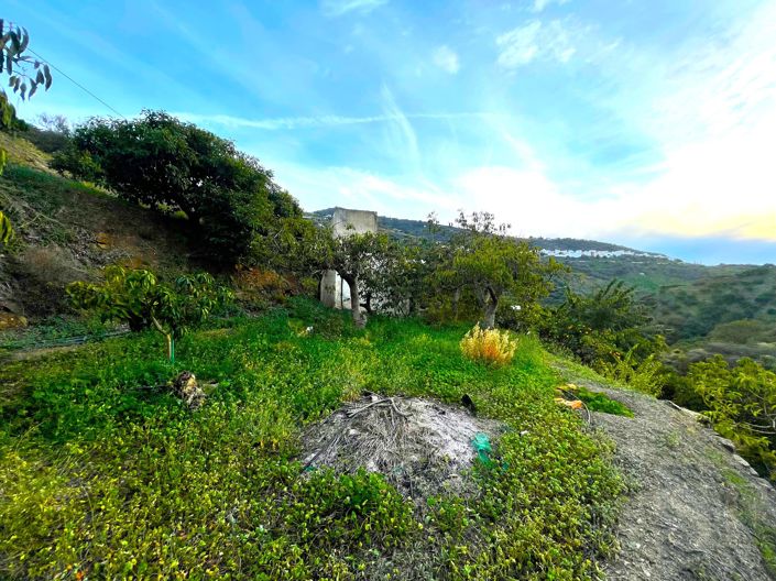 Image No.7-Country House for sale