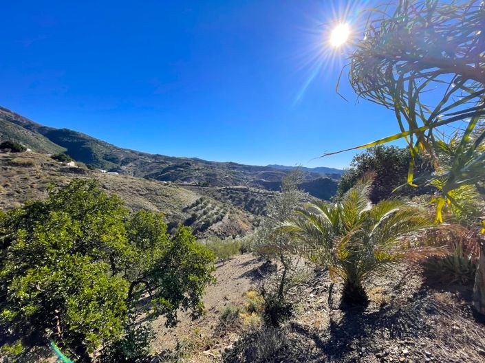 Image No.18-3 Bed Villa for sale