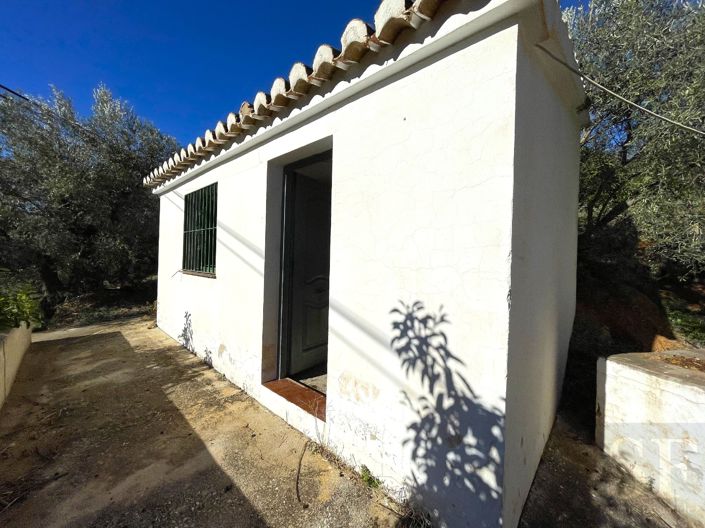 Image No.12-Villa de 1 chambre à vendre à Canillas de Aceituno