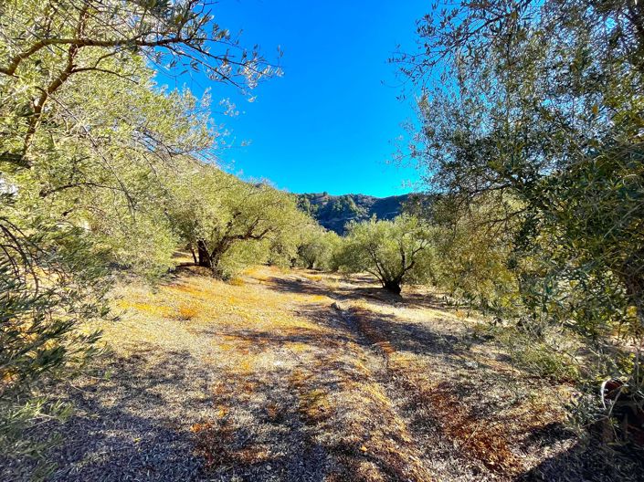 Image No.16-Villa de 1 chambre à vendre à Canillas de Aceituno