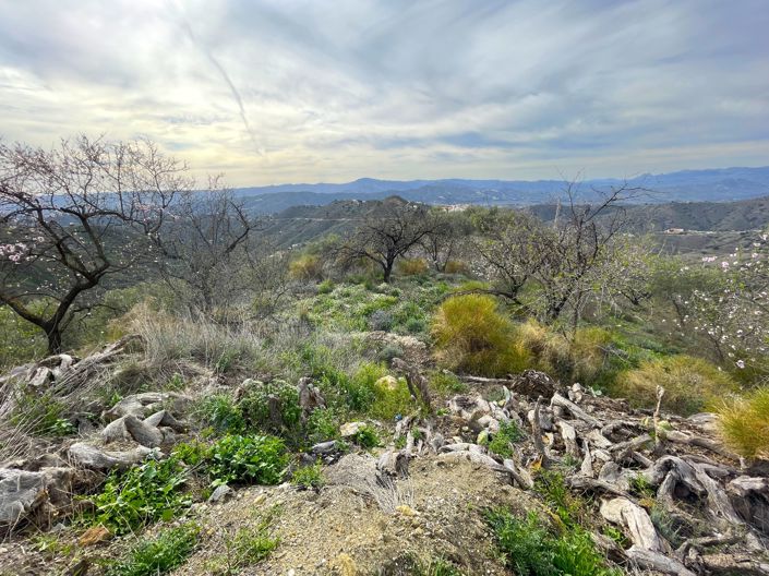 Image No.14-Maison de campagne de 1 chambre à vendre à Canillas de Aceituno