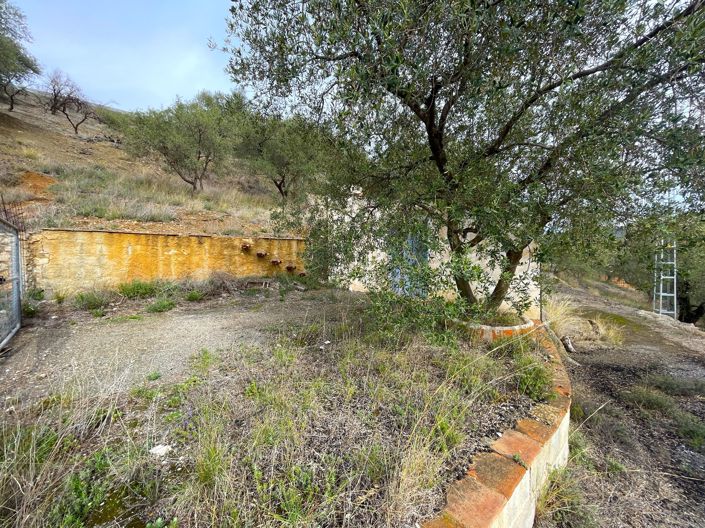 Image No.6-Maison de campagne de 1 chambre à vendre à Canillas de Aceituno